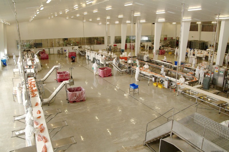 Seafood Processing Plants: A Detailed Look at Production