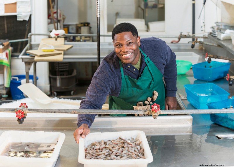Seafood Processing Plants: A Detailed Look at Production