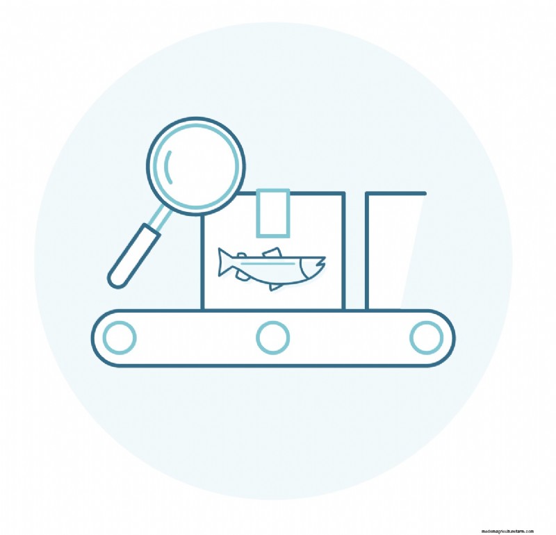 Seafood Processing Plants: A Detailed Look at Production