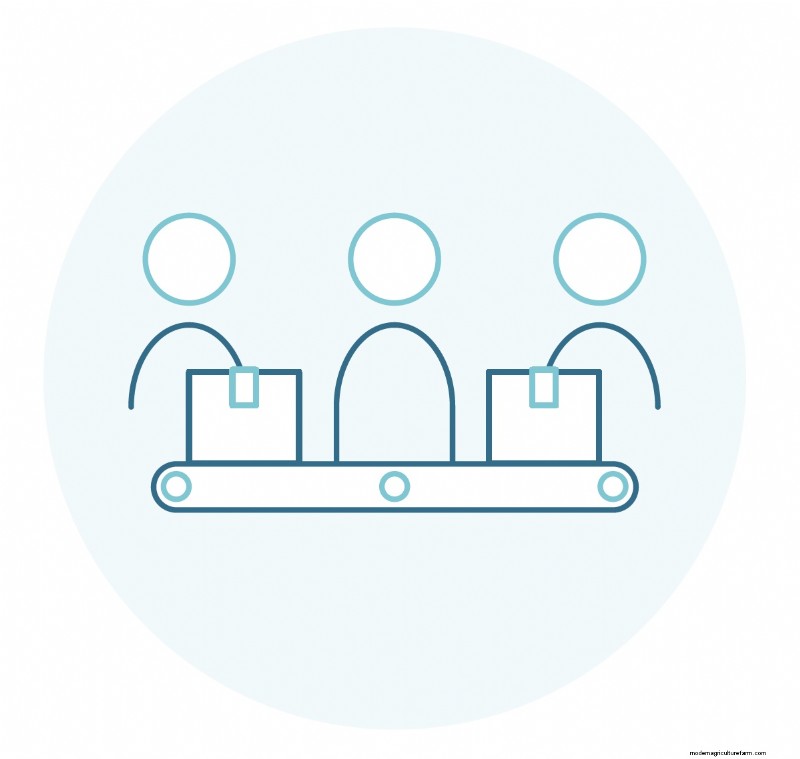 Seafood Processing Plants: A Detailed Look at Production
