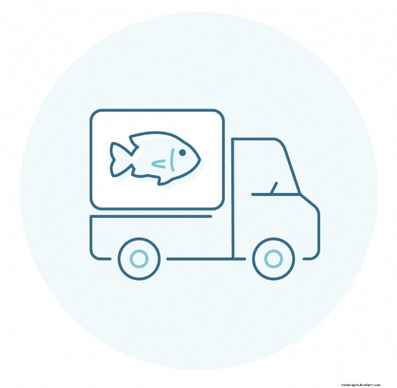 Seafood Processing Plants: A Detailed Look at Production
