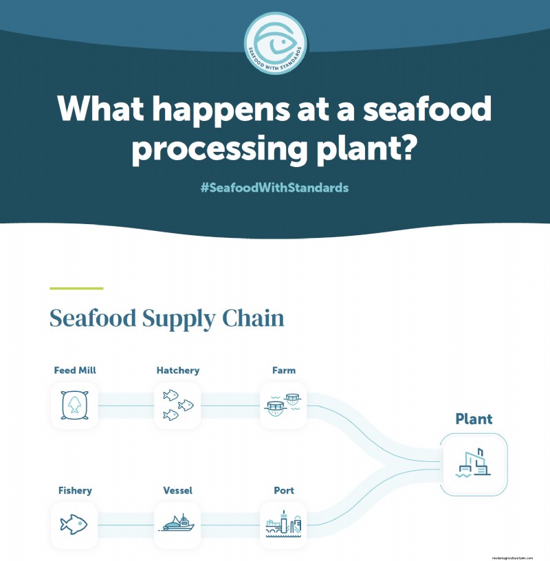 Seafood Processing Plants: A Detailed Look at Production