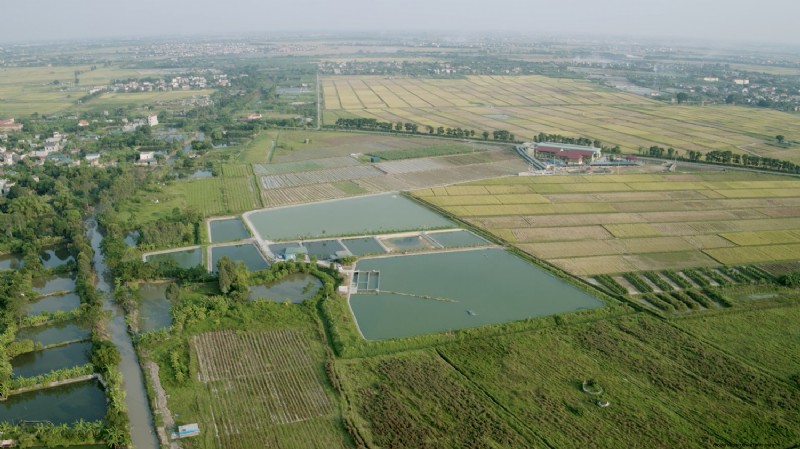 Free In-Pond Raceway System Course | Global Aquaculture Academy