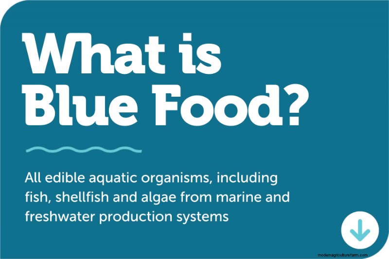 Farmed Seafood: An Introduction to Aquaculture - Global Seafood Alliance
