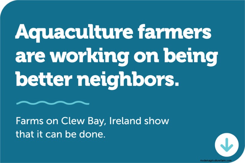 Farmed Seafood: An Introduction to Aquaculture - Global Seafood Alliance