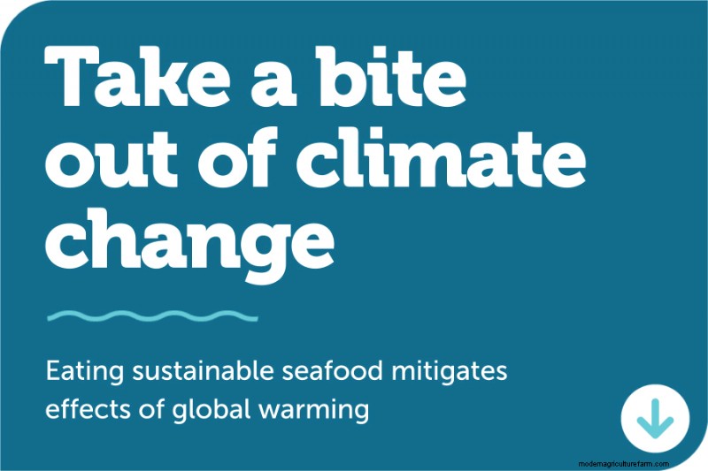 Farmed Seafood: An Introduction to Aquaculture - Global Seafood Alliance