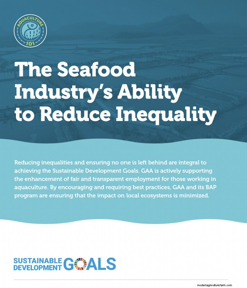 Aquaculture and Sustainable Development: Addressing Inequality in the Seafood Industry