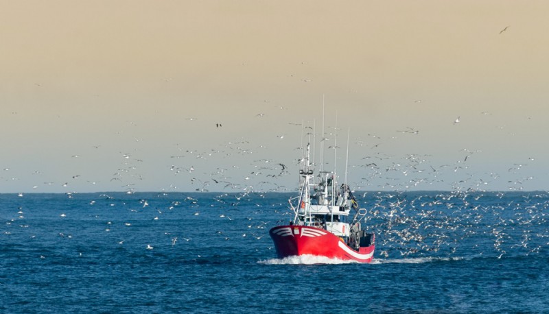 Responsible Aquaculture: Protecting Oceans & Achieving Sustainable Development