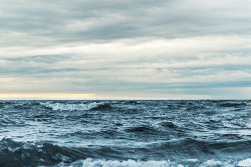 Responsible Aquaculture: Protecting Oceans & Achieving Sustainable Development