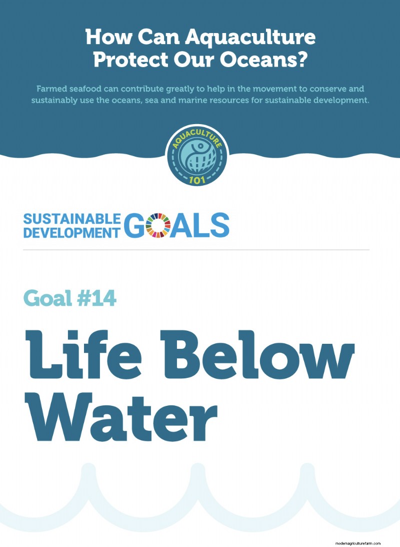 Responsible Aquaculture: Protecting Oceans & Achieving Sustainable Development