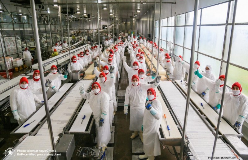 Aquaculture: Driving Economic Growth & Sustainable Development