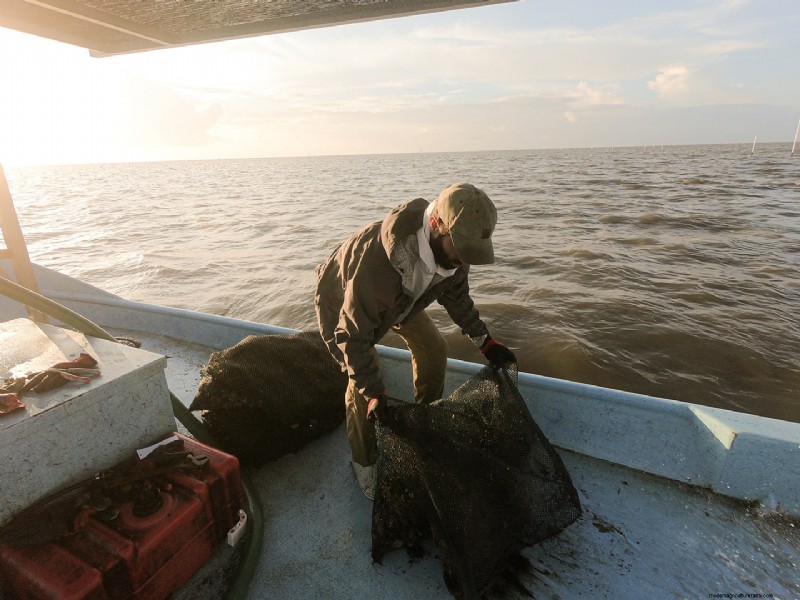 Aquaculture: Driving Economic Growth & Sustainable Development