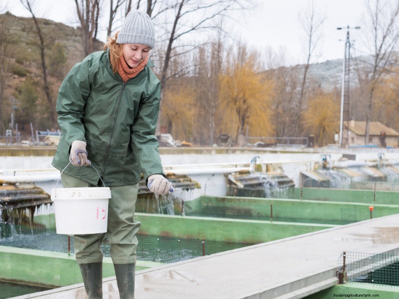 Farmed Seafood & Climate Action: A Sustainable Solution