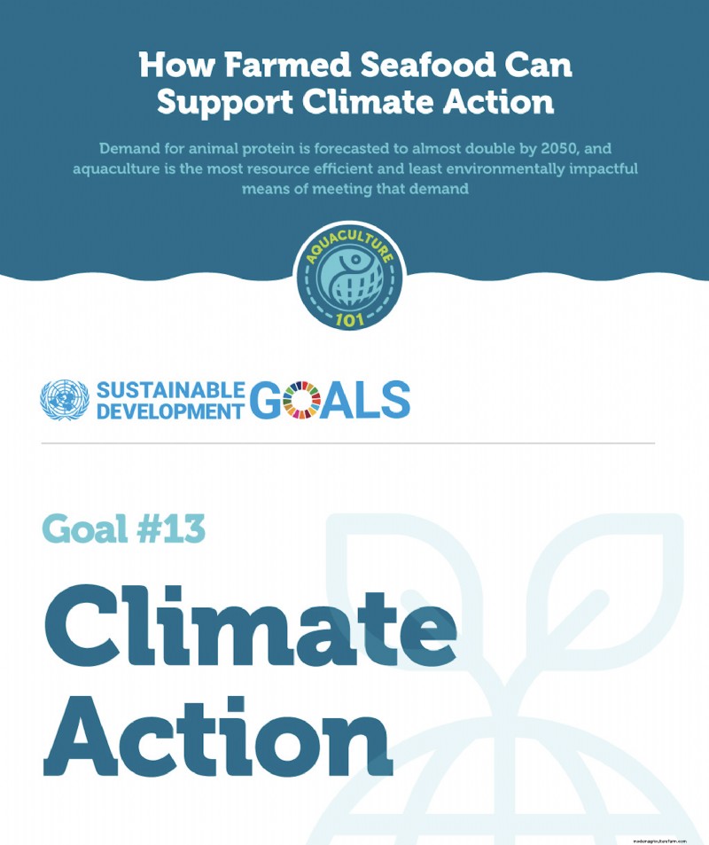 Farmed Seafood & Climate Action: A Sustainable Solution