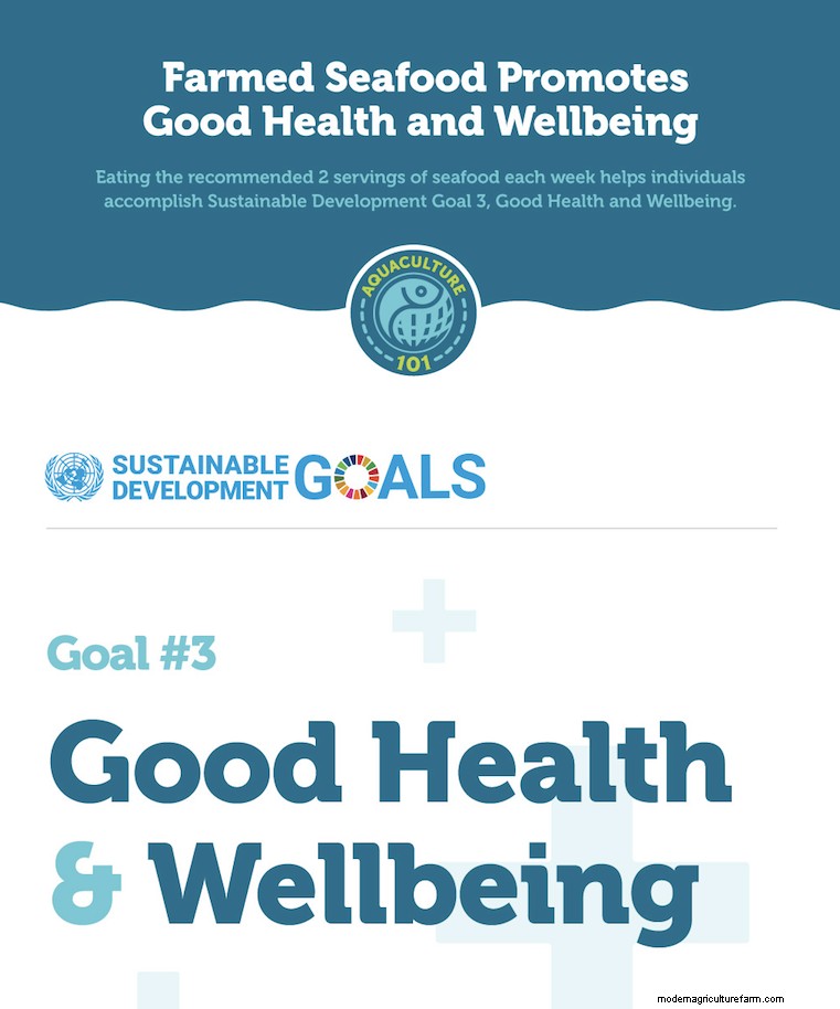 Aquaculture 101: Sustainable Seafood & the UN s SDGs