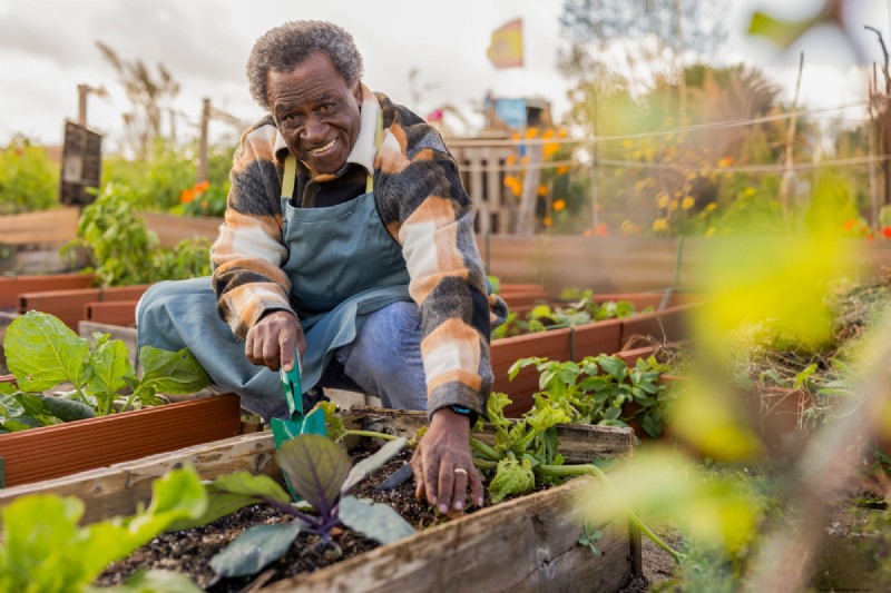 Urban Farming: Benefits for Sustainability, Economy & Environment