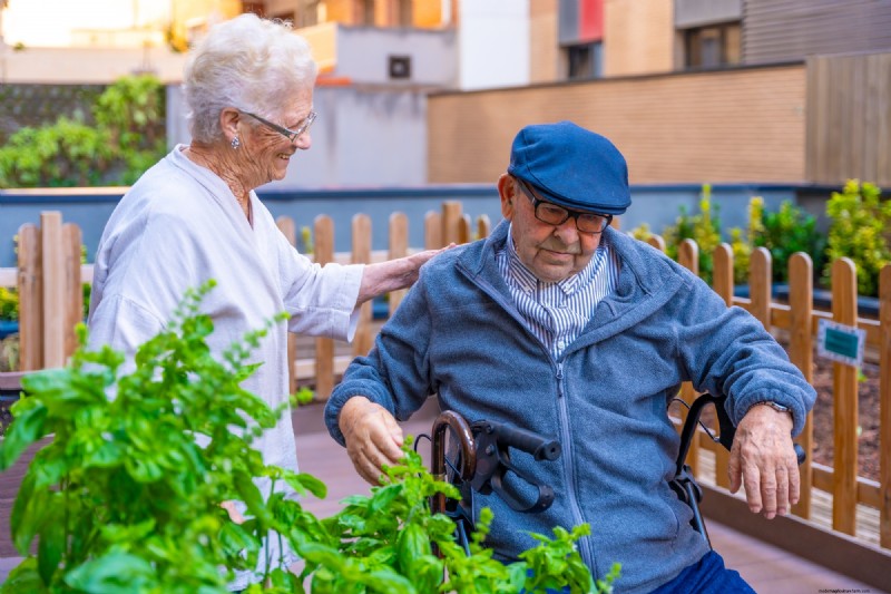 Urban Farming: Benefits for Sustainability, Economy & Environment