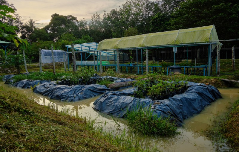 Urban Farming: Benefits for Sustainability, Economy & Environment