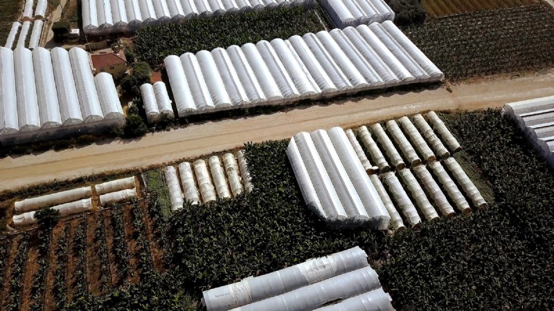 Urban Farming: Benefits for Sustainability, Economy & Environment