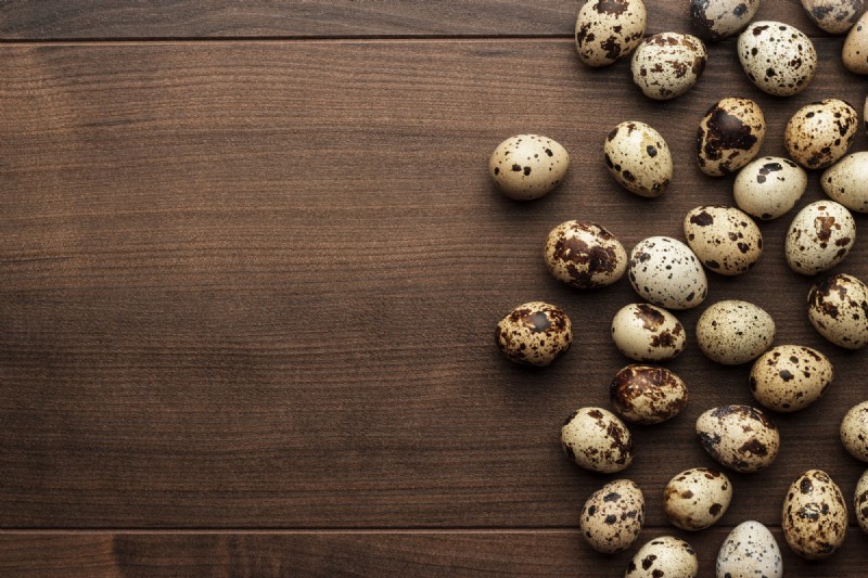Quail Farming: A Beginner s Guide to Success - Space & Market Insights