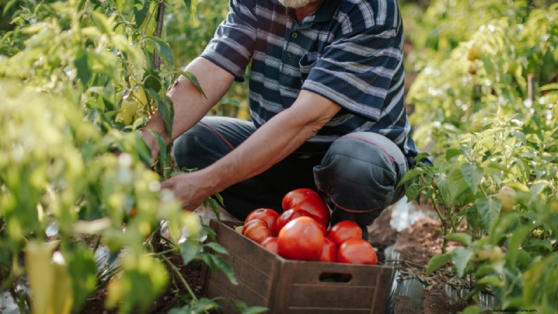 Starting a Farm: A Comprehensive Guide for Aspiring Farmers
