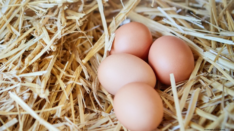 Starting a Farm: A Comprehensive Guide for Aspiring Farmers
