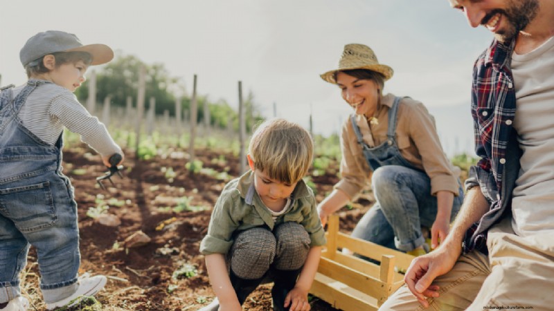 Starting a Farm: A Comprehensive Guide for Aspiring Farmers