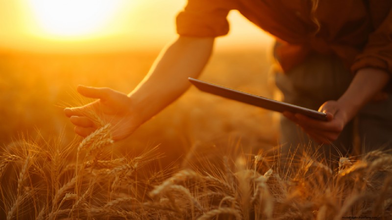 Top Farm Apps: Optimize Your Farming Operations in 2024