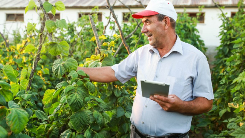Top Farm Apps: Optimize Your Farming Operations in 2024