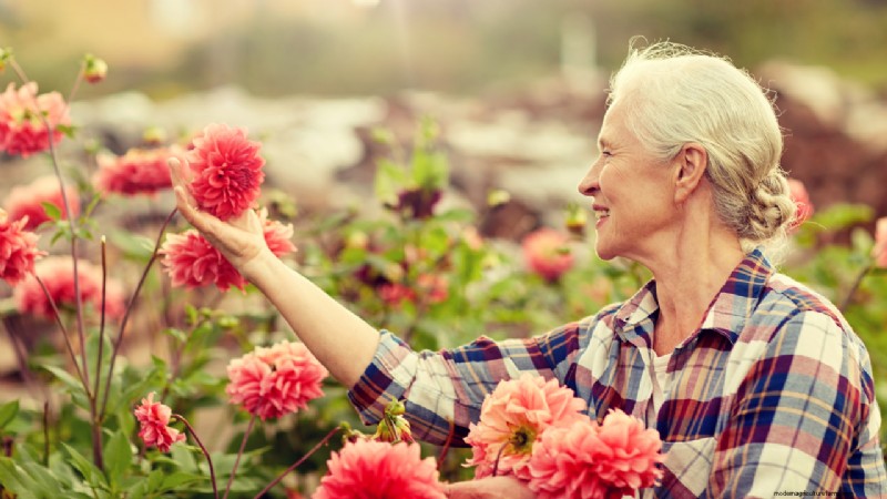 Starting a Flower Farm: A Comprehensive Guide for Beginners & Experienced Growers