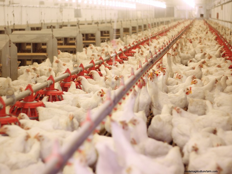 Choosing the Right Farm Equipment Supplier: A Comprehensive Guide