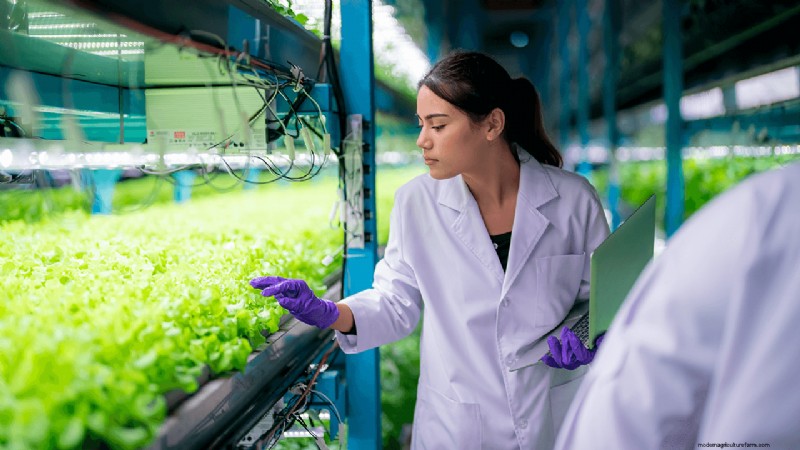 Hydroponics Farming: A Beginner s Guide for Small Businesses