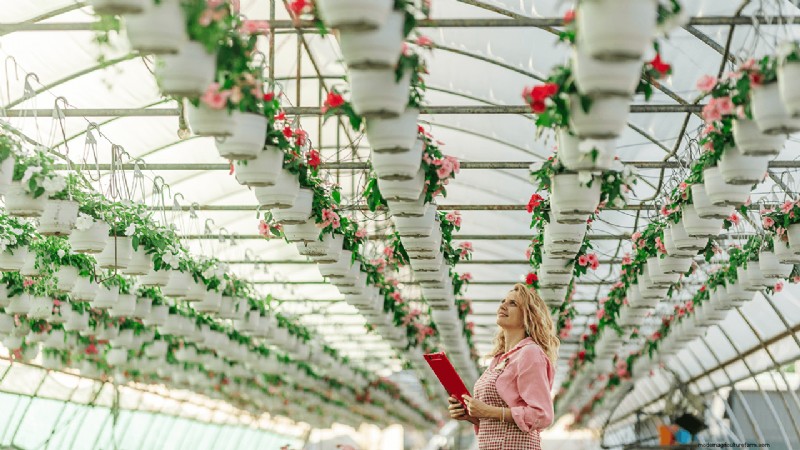 Hydroponics Farming: A Beginner s Guide for Small Businesses