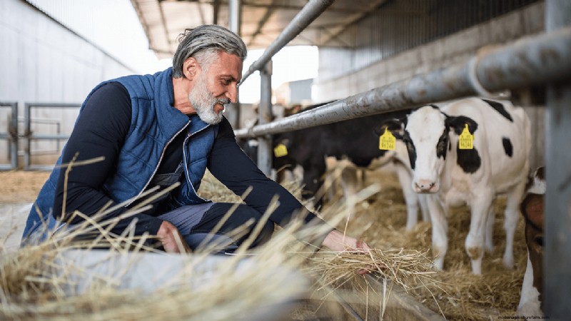 Organic Dairy Farming: A Comprehensive Guide to Starting Your Farm