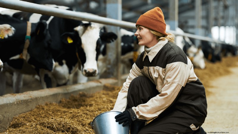 Organic Dairy Farming: A Comprehensive Guide to Starting Your Farm