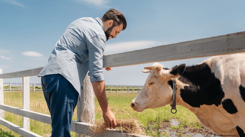 Organic Dairy Farming: A Comprehensive Guide to Starting Your Farm