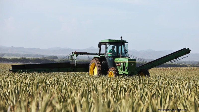 Used Tractor Buying Guide: 11 Inspection Tips for Smart Buyers