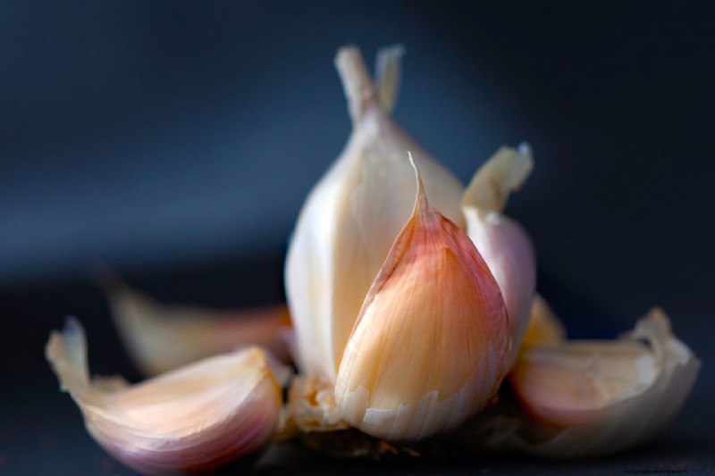 Expert Guide to Growing Garlic: Planting, Care & Harvest