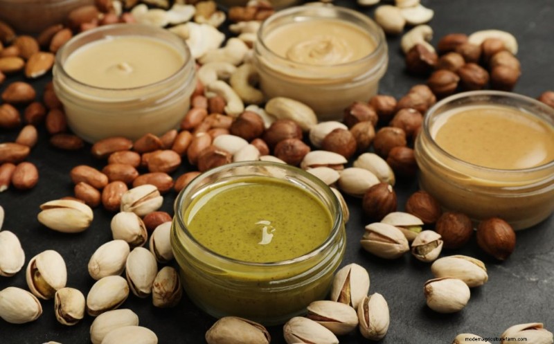 Top Profitable Nut Trees for Investment & Income