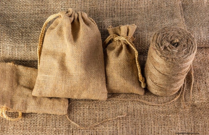Hemp Farming Profitability: A Comprehensive Guide to Income Potential