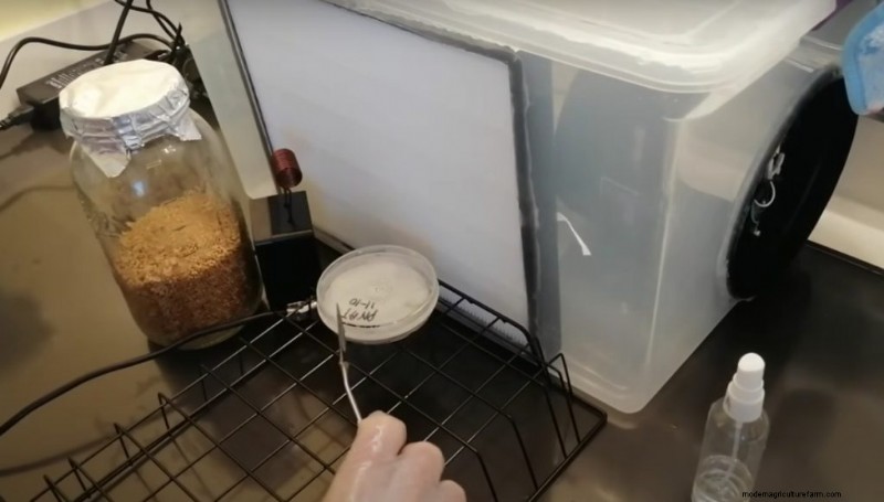 DIY Laminar Flow Hood for Mushroom Cultivation: A Step-by-Step Guide