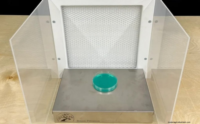 Designing a Mushroom Lab: A Comprehensive Guide for Growers