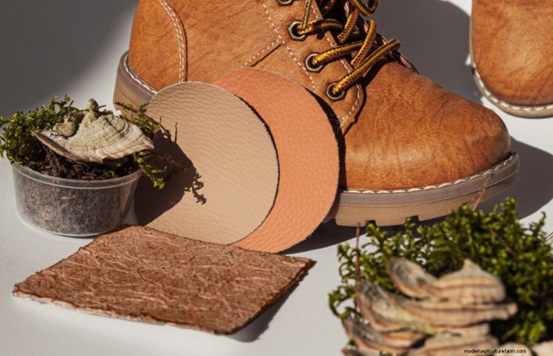 Grow Turkey Tail Mushrooms at Home: A Comprehensive Guide