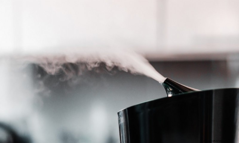 Humidifiers for Mushroom Cultivation: A Comprehensive Guide