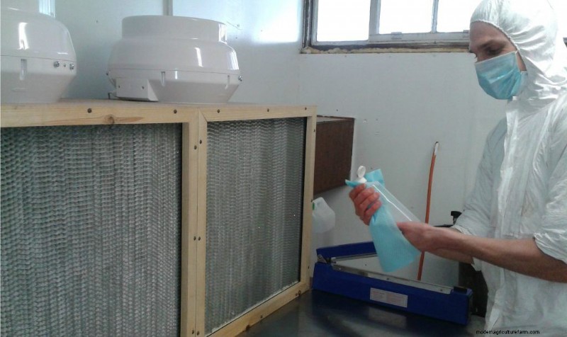 Preventing Mushroom Contamination: A Comprehensive Guide