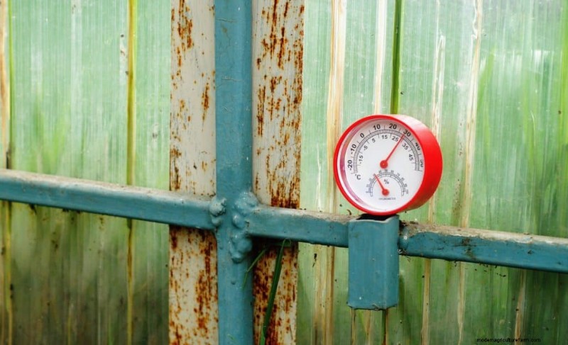 Greenhouse Mushroom Growing: A Comprehensive Beginner s Guide