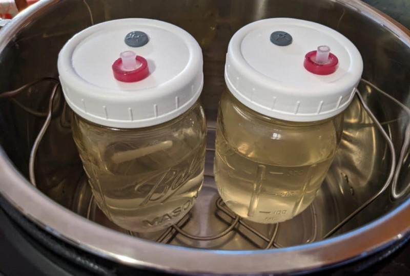 Mushroom Liquid Culture: A Comprehensive Guide to Growing More Mushrooms