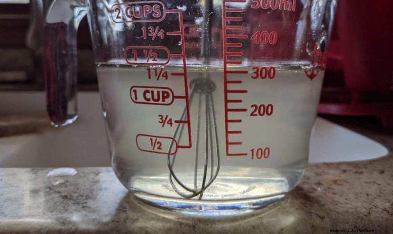 Mushroom Liquid Culture: A Comprehensive Guide to Growing More Mushrooms