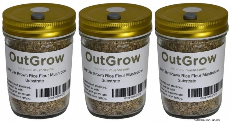 PF Tek: A Beginner s Guide to Growing Mushrooms at Home