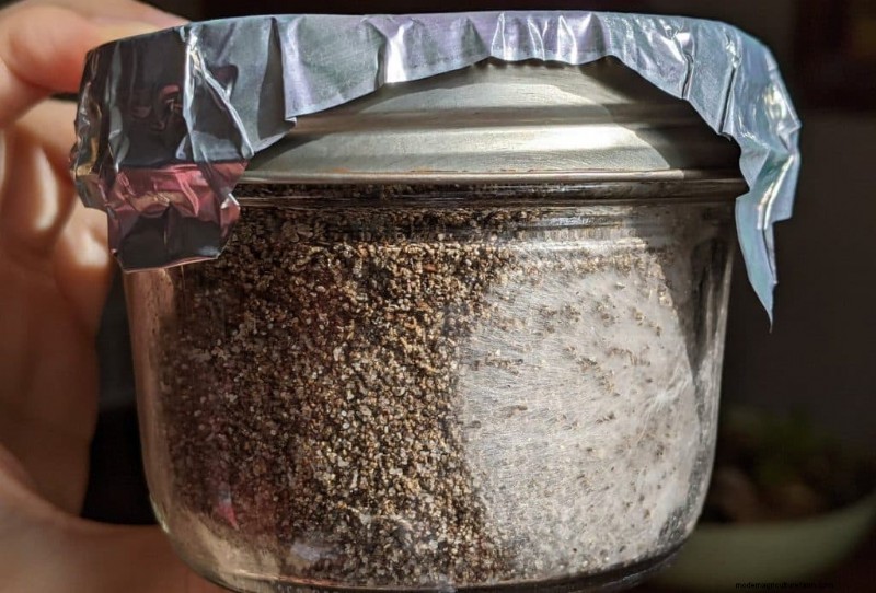 PF Tek: A Beginner s Guide to Growing Mushrooms at Home